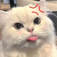แอด