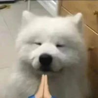เป็นทุกอย่างให้เธอแล้ว