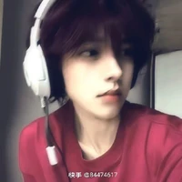ชามิ้น