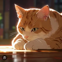Kaida