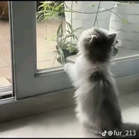 คนเขียน