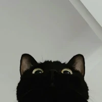 sky!!