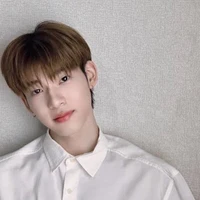ดาวฝน