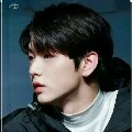 แมว