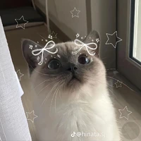 ฆ.ต.ก