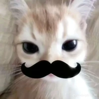 แอดเองง