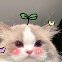 แอดดเองงง