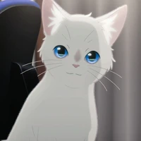 Mimi (kucing) 