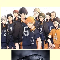 ทีมคาราสึโนะ