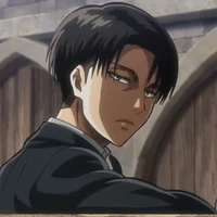 Levi 