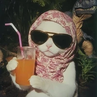 Author 😸