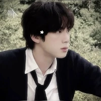 Kim Seokjin (O)