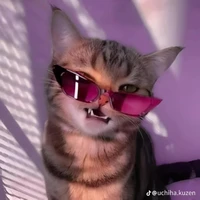 แอดเอง