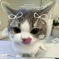 AUTHOR🎶😺