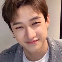 Bang Chan ( Alpha, PDG )