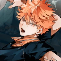 Shoyo Hinata •O.P•