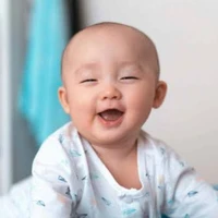(Zen bayi) 