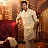 aditya malhotra (ml)