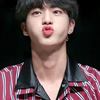 kim seok jin /omega