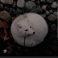 ชิโอะ คีฟ (ร่างจิ้งจอก)