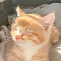 🌼Neko🌼