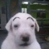 อ้ายเเอดสุดเเอ็ค