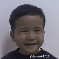 เตชิน