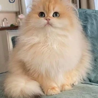 ม่อน