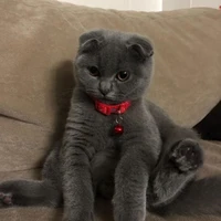 โซเฟีย