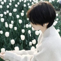 คิมเมว(น.อ)