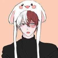 Shoto Todoroki(O)