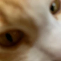 แอดเองง