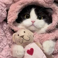 แอดเอง