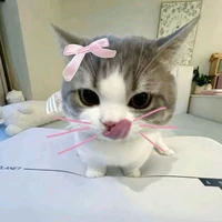 ไรเฟิล(แมวน.อ)​
