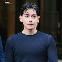Taehyung (Alpha)