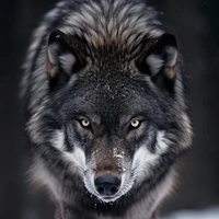Biro(lobo de nam)