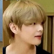 tae/v /Tata/tiger