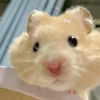 ไอ้แฮม🐹