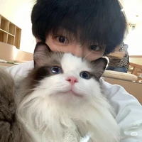 แก้วใจ