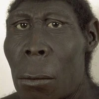 macacos me mordam