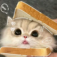 แอดแอ๊ดเอง