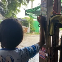 น้องเนย