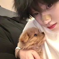 ยีราฟ //พ.น.อ