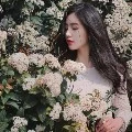 เมฮาน่า