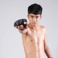 สแตมม์