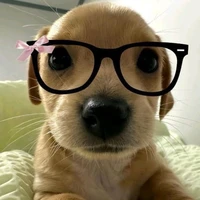 ✧⁠*⁠。autora ✧⁠*⁠。