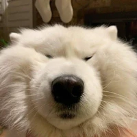 ซูเนโอะ