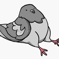 เครซี่(นกพิราบแอดและผองเพื่อน)