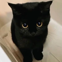 Felix