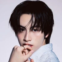 ดาวเหนือ